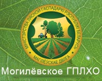Магілёўскае дзяржаўнае вытворчае лесагаспадарчае аб’яднанне