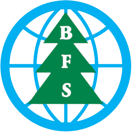 BelForestSurveys