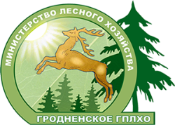 Гродзенскае дзяржаўнае вытворчае лесагаспадарчае аб’яднанне