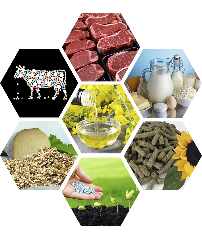 Биржевые торги сельхозпродукцией