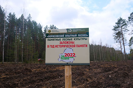 Неделя леса