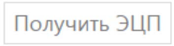 Кнопка получить ЭЦП